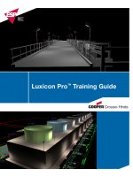 Luxicon Pro Training Guide potx