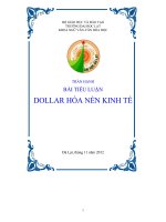 Tiểu luận - Dollar hóa nền kinh tế pot