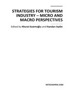 STRATEGIES FOR TOURISM INDUSTRY – MICRO AND MACRO PERSPECTIVES pot