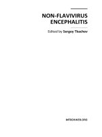 NON-FLAVIVIRUS ENCEPHALITIS docx