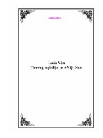 Luận Văn: Thương mại điện tử ở Việt Nam ppt