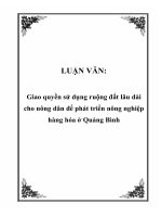 LUẬN VĂN: Giao quyền sử dụng ruộng đất lâu dài cho nông dân để phát triển nông nghiệp hàng hóa ở Quảng Bình docx