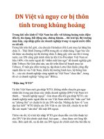 DN Việt và nguy cơ bị thôn tính trong khủng hoảng pdf