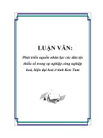 LUẬN VĂN: Phát triển nguồn nhân lực các dân tộc thiểu số trong sự nghiệp công nghiệp hoá, hiện đại hoá ở tỉnh Kon Tum docx