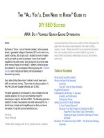 THE ALL YOU’LL EVER NEED TO KNOW GUIDE TO DIY SEO SUCCESSAKA pdf