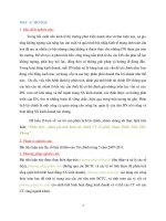 Đề tài “Phân tích - đań h giá tình hình tài chính CT cổ phần Nhưạ Thiêú Niên Tiêǹ Phong” pot