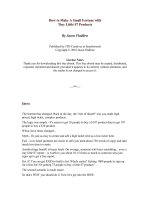 How to Make A Small Fortune with Tiny Little $7 Products By Jason Fladlien pot