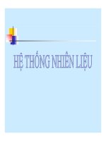 Hệ thống nhiên liệu động cơ pptx