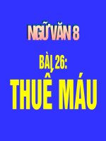 thuế máu