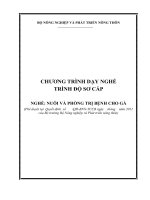 CHƯƠNG TRÌNH DẠY NGHỀ TRÌNH ĐỘ SƠ CẤP NGHỀ: NUÔI VÀ PHÒNG TRỊ BỆNH CHO GÀ docx