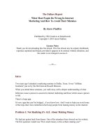 The Failure Report What Most People Do Wrong In Internet Marketing And How To Avoid Their Mistakes pdf