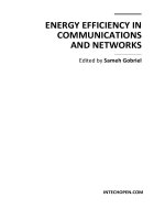 ENERGY EFFICIENCY IN COMMUNICATIONS AND NETWORKS pdf