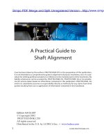 A Practical Guide to Shaft Alignment docx