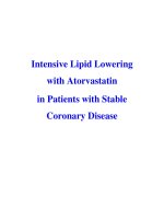 Intensive Lipid Lowering with Atorvastatin in Patients with Stable Coronary Disease pot