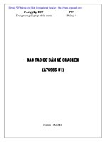 Đào tạo cơ bản về Oracle8i pptx
