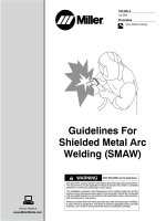 SMAW (Pro Series): Welding Guidelines For Shielded Metal Arc Welding pot