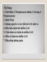 Group A Streptococcus pdf