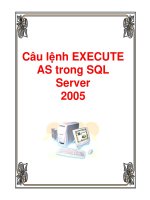 Câu lệnh EXECUTE AS trong SQL Server 2005 docx