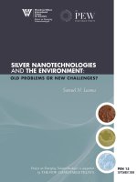 SILVER NANOTECHNOLOGIES AND THE ENVIRONMENT: OLD PROBLEMS OR NEW CHALLENGES? doc