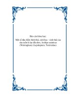 Báo cáo khoa học: Một số đặc điểm hình thái, sinh học - sinh thái của sâu cuốn lá lạc đầu đen, Archips asiaticus (Walsingham) (Lepidoptera: Tortricidae) potx