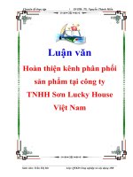 Luận văn: Hoàn thiện kênh phân phối sản phẩm tại công ty TNHH Sơn Lucky House Việt Nam docx
