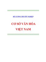 ĐỀ CƯƠNG THI TỐT NGHIỆP: CƠ SỞ VĂN HÓA VIỆT NAM pdf