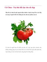 Cà Chua - Trợ thủ đắc lực cho sắc đẹp docx