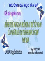 Đề tài: Hành vi sử dụng sản phẩm thay thế túi nilon của người dân tại Thành Phố Cần Thơ năm 2010 pot