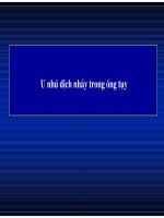 U nhú dịch nhầy trong ống tụy doc