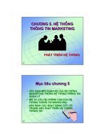 HỆ THỐNG THÔNG TIN MAKETTING pdf