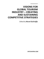VISIONS FOR GLOBAL TOURISM INDUSTRY – CREATING AND SUSTAINING COMPETITIVE STRATEGIES pot
