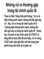 Những rủi ro thường gặp trong tài chính potx