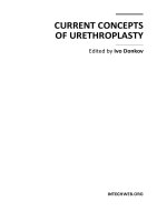 CURRENT CONCEPTS OF URETHROPLASTY pdf