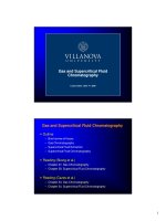 Gas Chromatography and Supercritical Fluid Chromatography docx