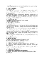 Cấp Giấy phép, năng định cho nhân viên kỹ thuật bảo dưỡng tàu bay (AMT) ppt