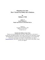 Hand-Dyes For Sale: How I Turned My Hobby Into A Business by Melissa J. Willauthor docx