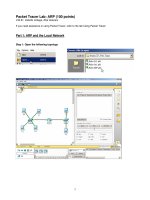 Packet Tracer Lab: ARP (100 points) ppt