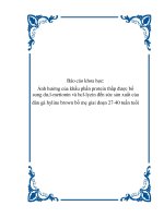 Báo cáo khoa học: Ảnh hưởng của khẩu phần protein thấp được bổ sung dư,l-metionin và hcl-lyzin đến sức sản xuất của đàn gà hyline brown bố mẹ giai đoạn 27-40 tuần tuổi potx