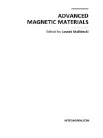 ADVANCED MAGNETIC MATERIALS   docx
