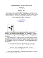 Impotence and IT Sourcing GovernanceBy Ernie Zibert Copyright 2011 Ernie Zibert Smashwords Edition pot