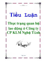 Tiểu Luận: Thực trạng quan hệ lao động ở Công ty CP KLM Nghệ Tĩnh doc