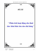 Tiểu luận đề tài: phân tích hoạt động thuê tàu - khai thác tàu của chủ hàng pot