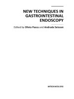 NEW TECHNIQUES IN GASTROINTESTINAL ENDOSCOPY docx