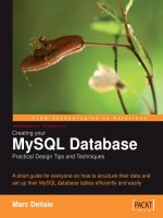 Creating your MySQL Database: Practical Design Tips and Techniques pdf