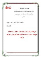 ĐỀ TÀI: TÀI NGUYÊN CÓ KHẢ NĂNG PHỤC HỒI VÀ KHÔNG CÓ KHẢ NĂNG PHỤC HỒI pptx