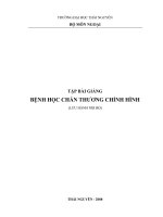 Giáo trình: BỆNH HỌC CHẤN THƯƠNG CHỈNH HÌNH docx