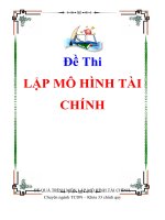 Đề thi : Lập mô hình tài chính pot