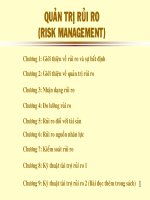 QUẢN TRỊ RỦI RO (RISK MANAGEMENT) pptx