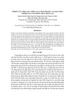 Nghiên cứu chọn tạo 3 dòng gà Lương Phượng tại trại thực nghiệm gia cầm Thống Nhất - Đồng Nai pot