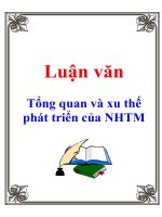 Luận văn: Tổng quan và xu thế phát triển của NHTM doc